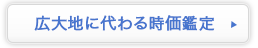 広大地に代わる時価鑑定