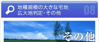 地積規模の大きな宅地・広大地判定・その他