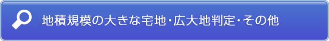地積規模の大きな宅地・広大地判定・その他